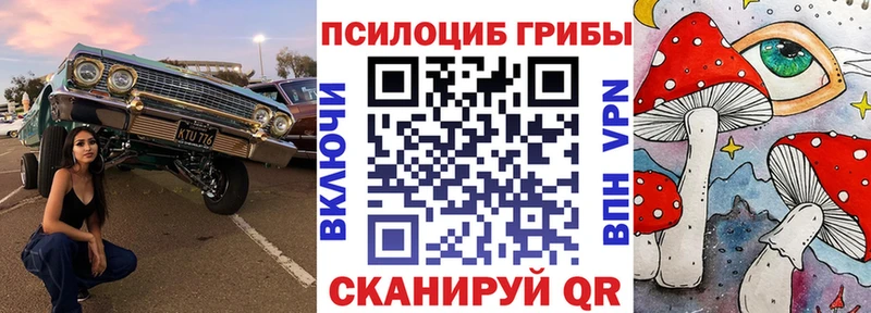 ссылка на мегу зеркало  Бирюсинск  Псилоцибиновые грибы мухоморы  купить наркотики цена 